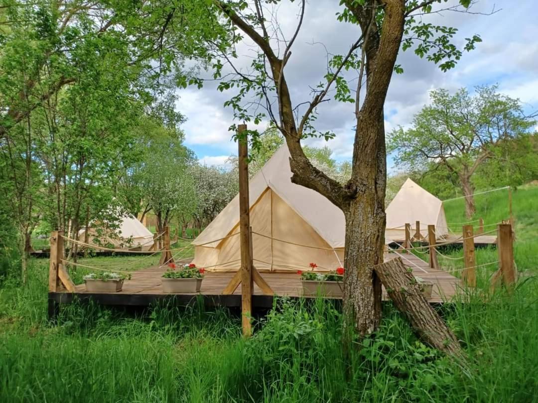 My Lake Glamping Dalnic 外观 照片