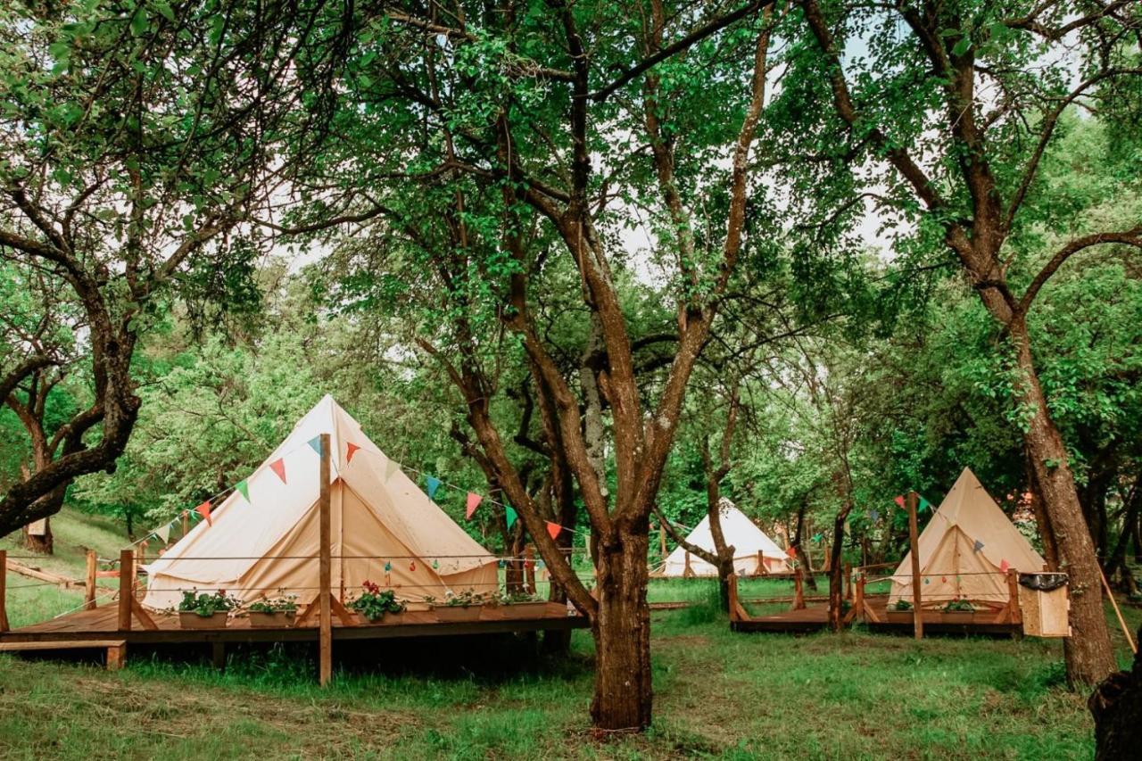 My Lake Glamping Dalnic 外观 照片