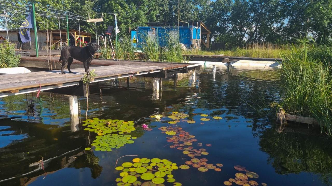 My Lake Glamping Dalnic 外观 照片
