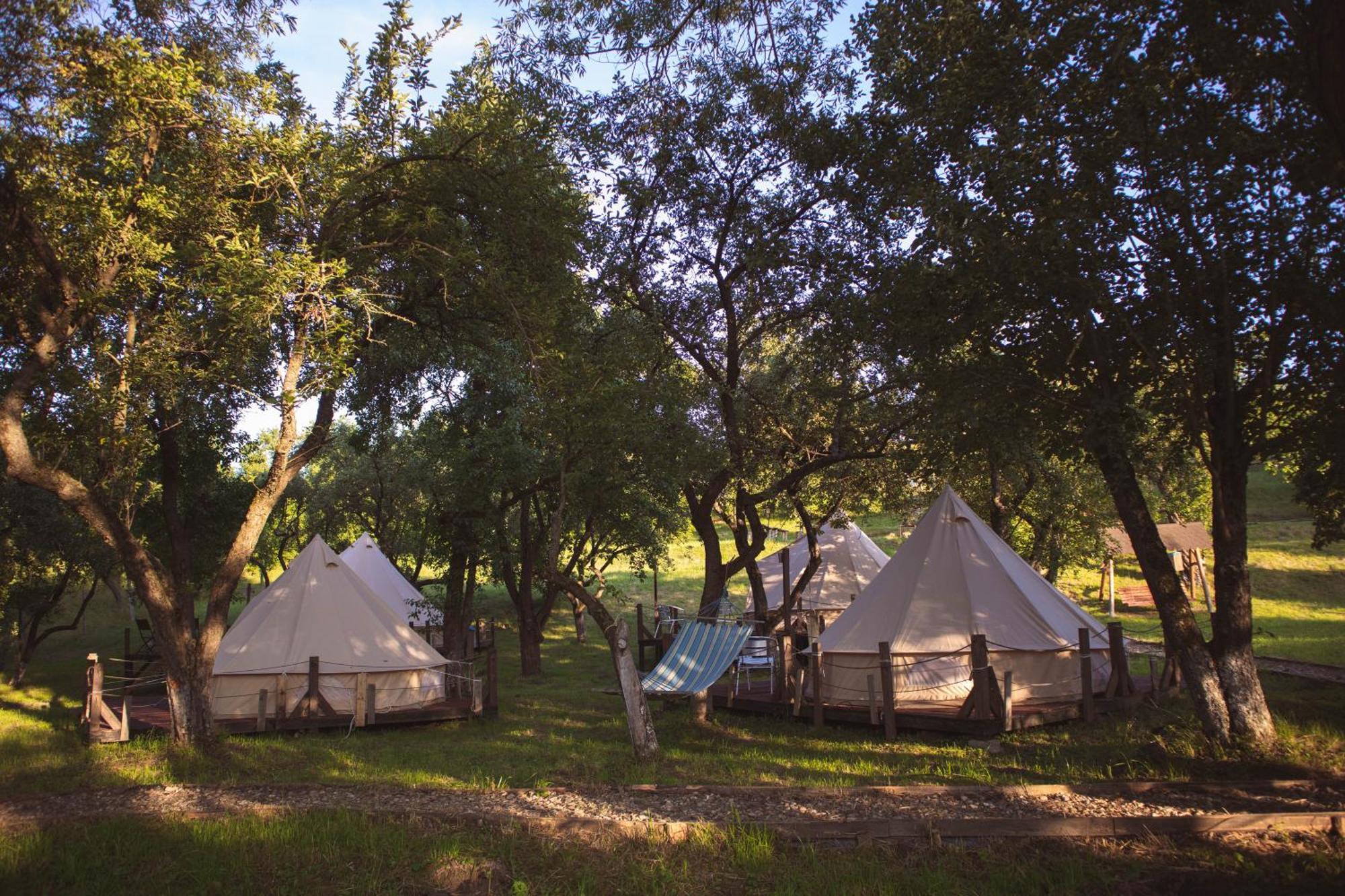 My Lake Glamping Dalnic 外观 照片